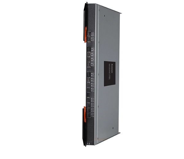 联想Flex System SI4091 10 Gb